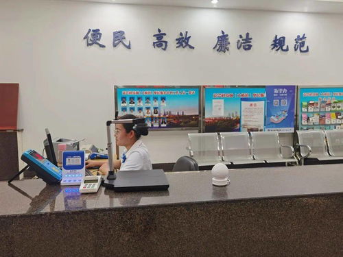 嘉興科技城大橋鎮(zhèn)便民服務中心啟用“一窗受理、全域通辦”公用事業(yè)服務窗口